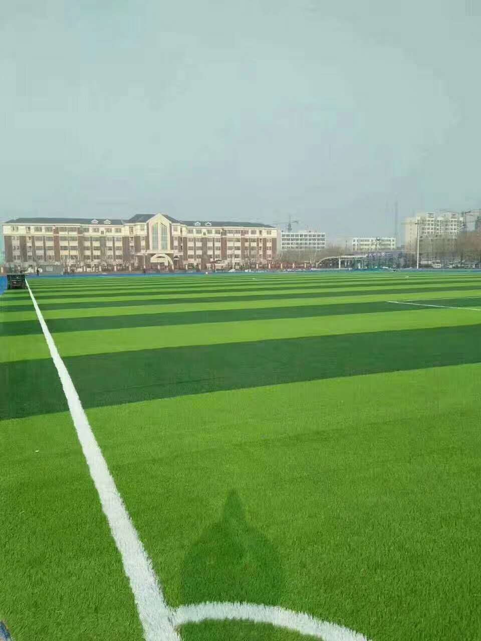 巴中市半预制型跑道仿真草坪 - 推荐